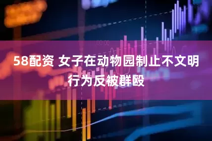 58配资 女子在动物园制止不文明行为反被群殴