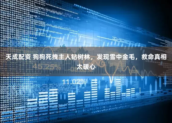 天成配资 狗狗死拽主人钻树林，发现雪中金毛，救命真相太暖心