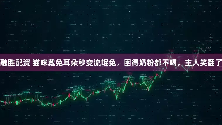 融胜配资 猫咪戴兔耳朵秒变流氓兔，困得奶粉都不喝，主人笑翻了