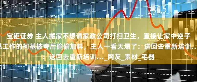 宝钜证券 主人搬家不想请家政公司打扫卫生，直接让家中逆子上工…没想到勤恳工作的柯基被夸后偷偷加料，主人一看天塌了：送回去重新培训…_网友_素材_毛器