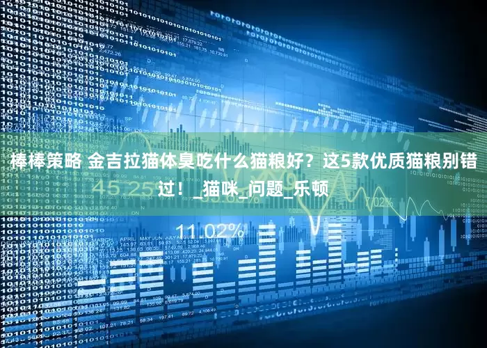 棒棒策略 金吉拉猫体臭吃什么猫粮好？这5款优质猫粮别错过！_猫咪_问题_乐顿