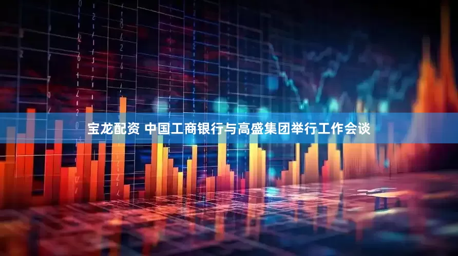 宝龙配资 中国工商银行与高盛集团举行工作会谈