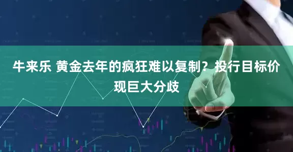 牛来乐 黄金去年的疯狂难以复制？投行目标价现巨大分歧