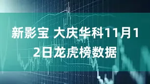 新影宝 大庆华科11月12日龙虎榜数据